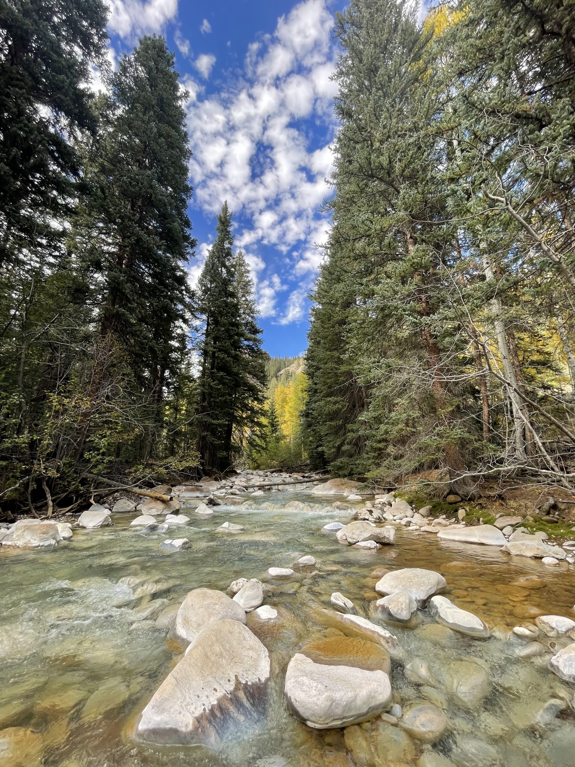 A stream with rocks, between tall pines and under blue sky with clouds - Reiki